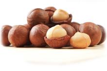 Organic air dried macadamia nuts in shell, with ISO, Kosher, high quality