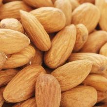 Chinese delicious Almond Kernel for exporting