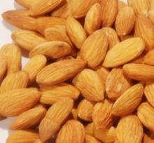 Chinese Almonds Kernel / Almonds Without Shell