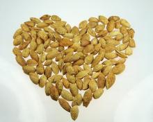 Delicious Almonds with high quality, ISO , HACCP certificate