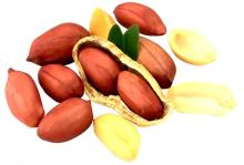 2014 cheap raw peanut with high quality, with ISO, HACCP, made in china ,