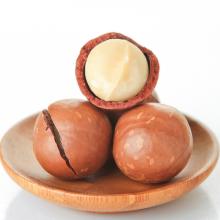 Raw organic macadamia nuts shelled , with ISO, HACCP, professional supplier