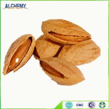 Chinese sun dried raw almond for sale, direct factory, exporting for years