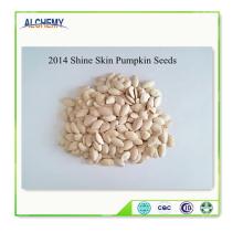 Chinese Hot sale delicious Dried Mango slice, high quality, good price