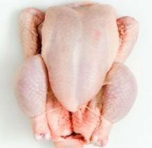 frozen chicken halal