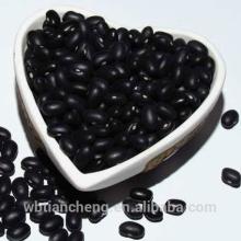100% Natural Small Black Beans (WBTC0048)