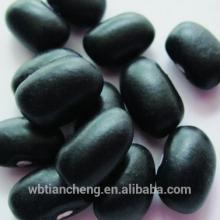 Last Year Crop  Small   Black   Beans  (WBTC0054)