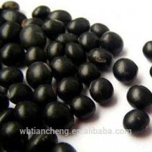 China High Quality Small Black Beans (WBTC0055)