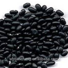 Bulk Black Beans With Green Kernel (WBTC0059)