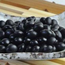Types Of Black Kidney Beans 500-550,550-600pcs/100g (WBTC0050)