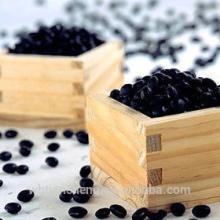 China High Quality Small Black Beans (WBTC0056)
