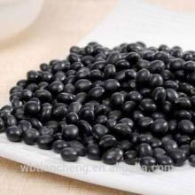 Types Of Black Kidney Beans 500-550,550-600pcs/100g (WBTC0051)