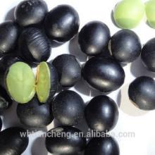 Bulk Black Kidney Beans With Green Inside (WBTC0058)