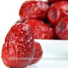 Jujube Red Dates In Bulk (WBTC0067)