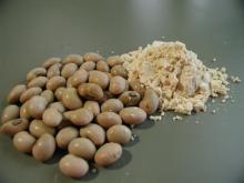 Isolated Soy Protein