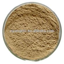 Supply green tea extract capsules