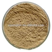 Supply green tea  extract   organic 