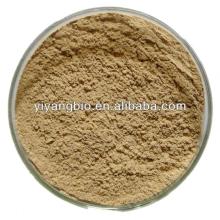 Supply 100% pure green tea extract
