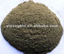 Noni Fruit powder