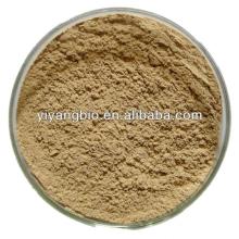 Supply natural green tea extract bulk