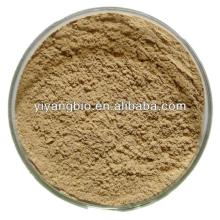 Supply green tea extract powder 95% polyphenols