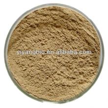 Supply kudzu kudzu root extract 40% puerarin