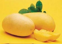 Natural Mango Powder