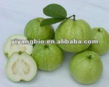 Guava Juice Powder
