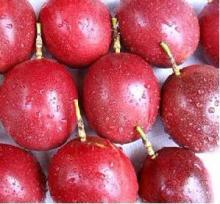 Passion fruit Juice Concentrate