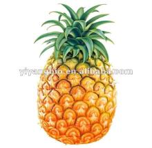 Natural Instant Pineapple Juice Powder