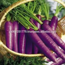 Super quality Purple carrots