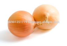 yellow onion Top quality in bulk , Fresh Yellow Onion , New Crop High Quality Pakistani exporter Fre