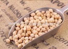 Hummus chick Peas 7mm 8mm 9mm 10mm 11mm 12mm Chickpeas garbanzos Channa Kichererbsen kikkererwten