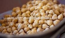White Best Quality Chickpeas Mexican Chickpeas / Garbanzo Beans For Australia , New Crop kabuli Chic