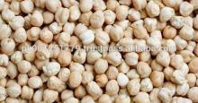 Top Quality Chickpeas , chana , garbanzo bean , hummus , desi chickpeas , iran chickpeas