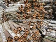 Split Cinnamon (Prime quality)