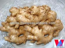 Hot Ginger - Grade 1