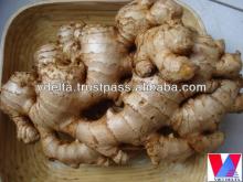 Fresh Ginger Grade 1