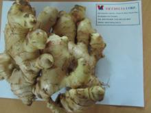 FRESH GINGER - clean,