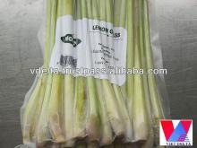 Fresh/ Frozen Lemongrass
