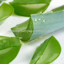 Aloe Vera  Jelly 