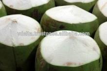 Fresh young coconut (semi-husked, diamond shape)