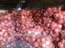 MATURE COCONUT - COMPETATIVE PRICE