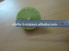 Fresh Citrus  Fruit  ( Green   Lemon )