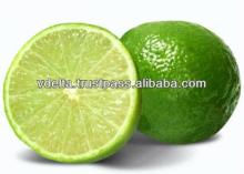 fresh lime & lemon/ Vietnam fresh lemon