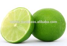 Fresh Green Lemon from a professional supplier