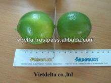 FRESH LEMON & lIME ( 500 - 600USD/Mts)