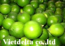 fresh green lemon & Lime (Seed and Seedless)