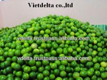 Viet Nam Fresh lime/ Lemon/ Green Lemon