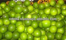 FRESH LIME & LEMON (500 - 600$) HIGH QUALITY - New Crop 2013